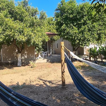 Orange Beach Camp Beldibi  Dış mekan fotoğraf