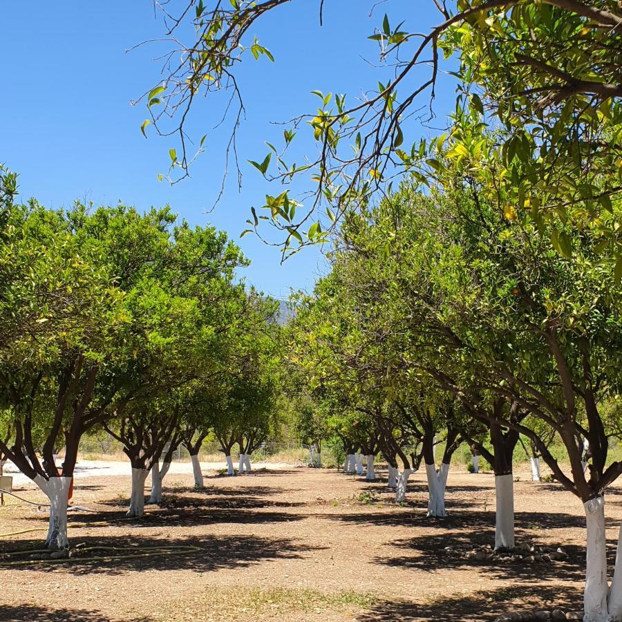 Orange Beach Camp Beldibi  Dış mekan fotoğraf